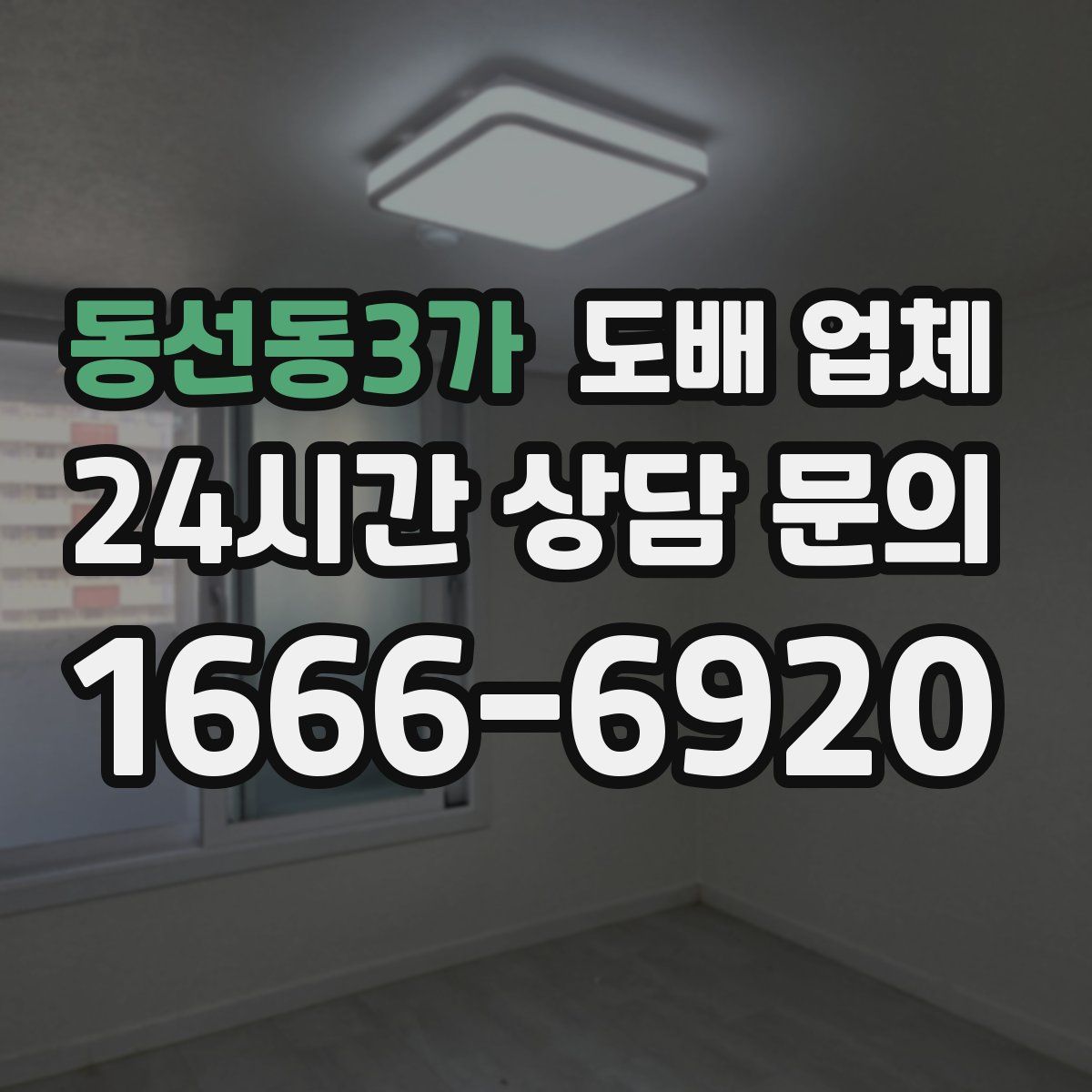 동선동3가 도배 업체