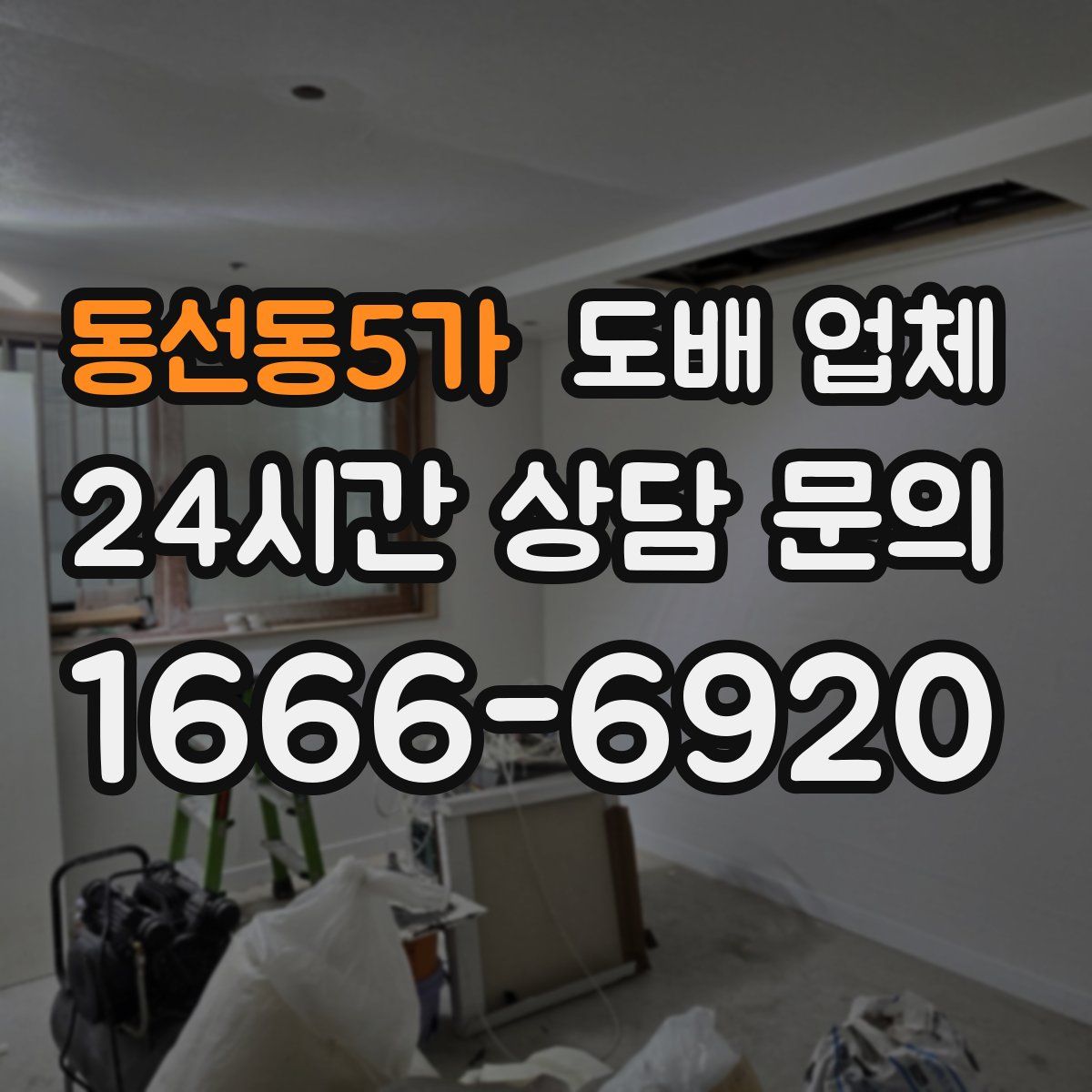 동선동5가 도배 업체