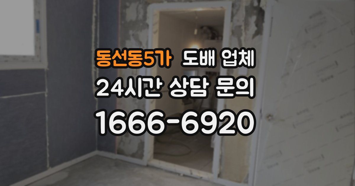 동선동5가 도배 업체
