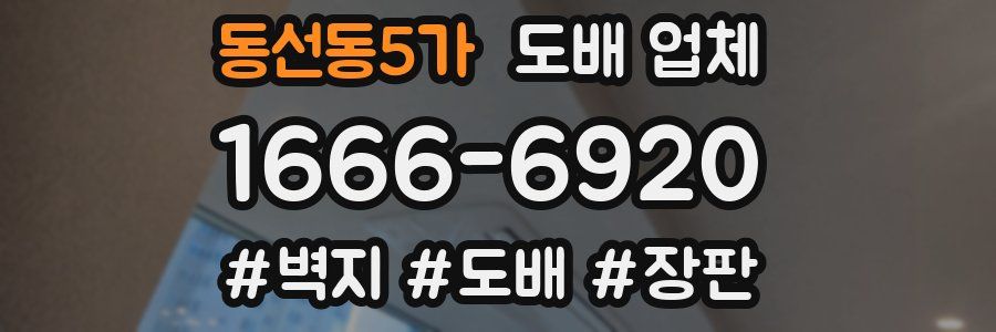 동선동5가 도배 업체