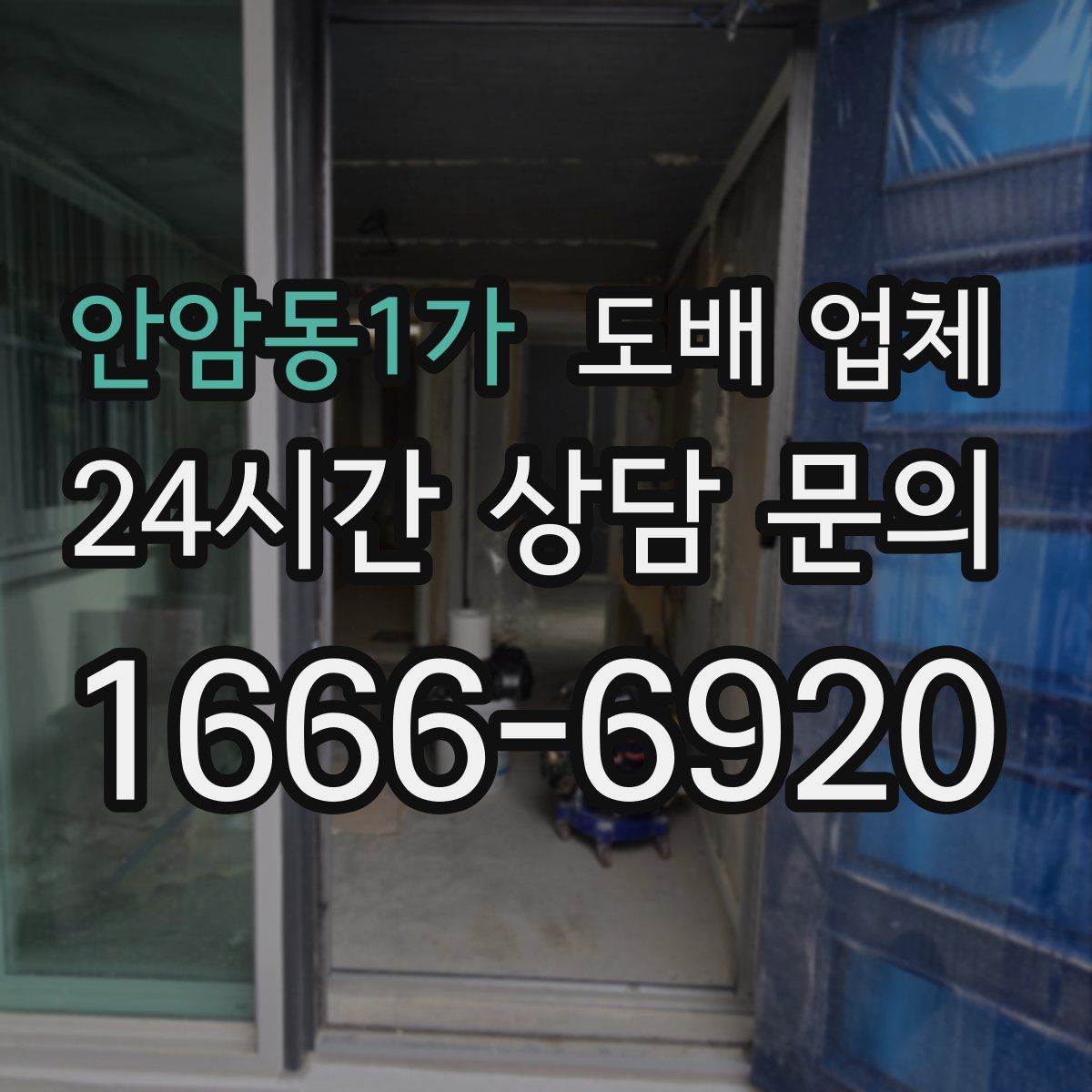 안암동1가 도배 업체