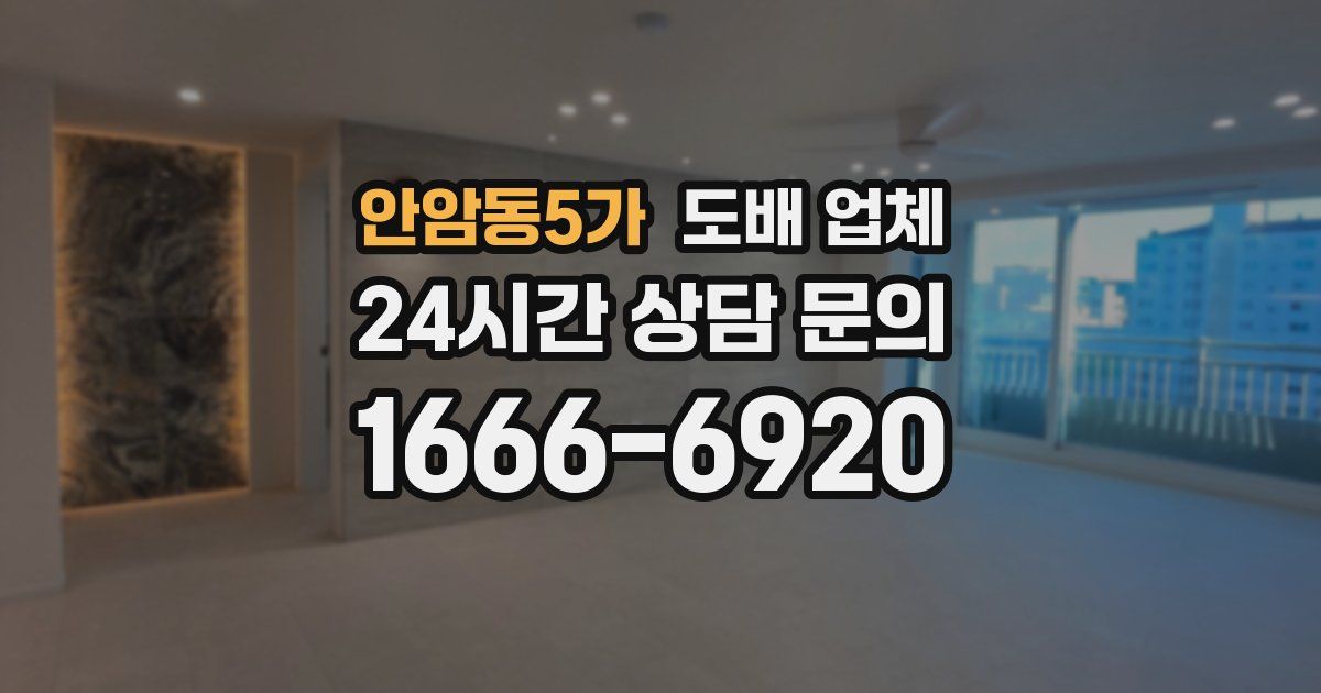 안암동5가 도배 업체