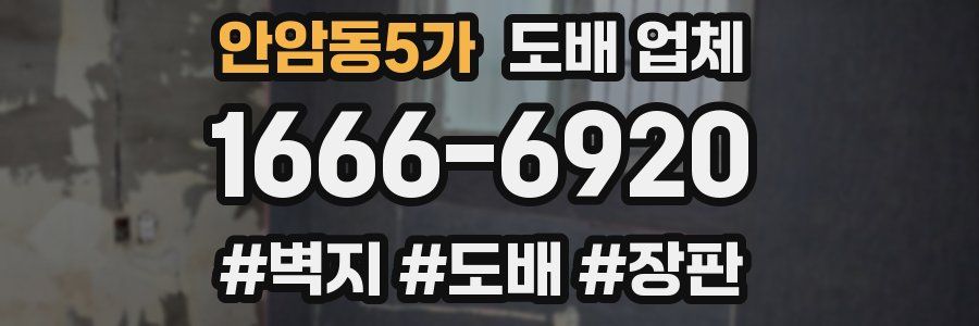 안암동5가 도배 업체