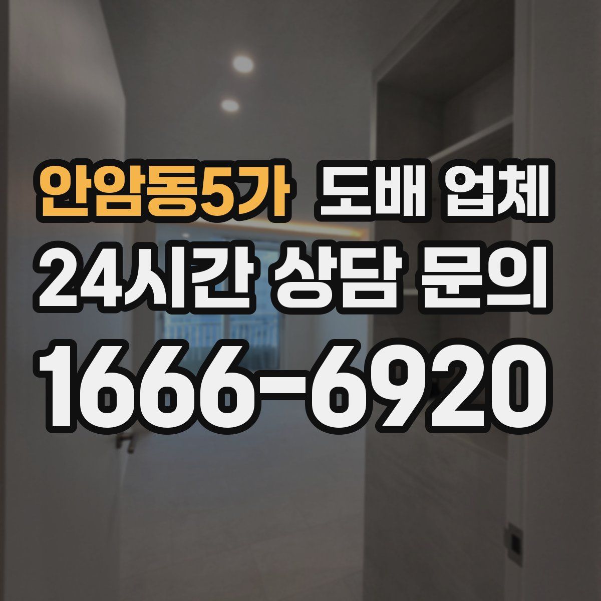안암동5가 도배 업체