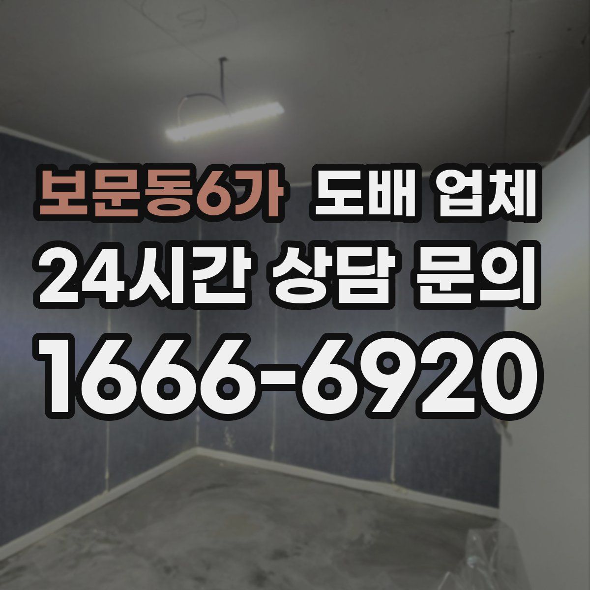 보문동6가 도배 업체