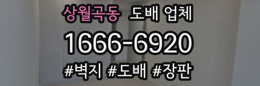 상월곡동 도배 업체