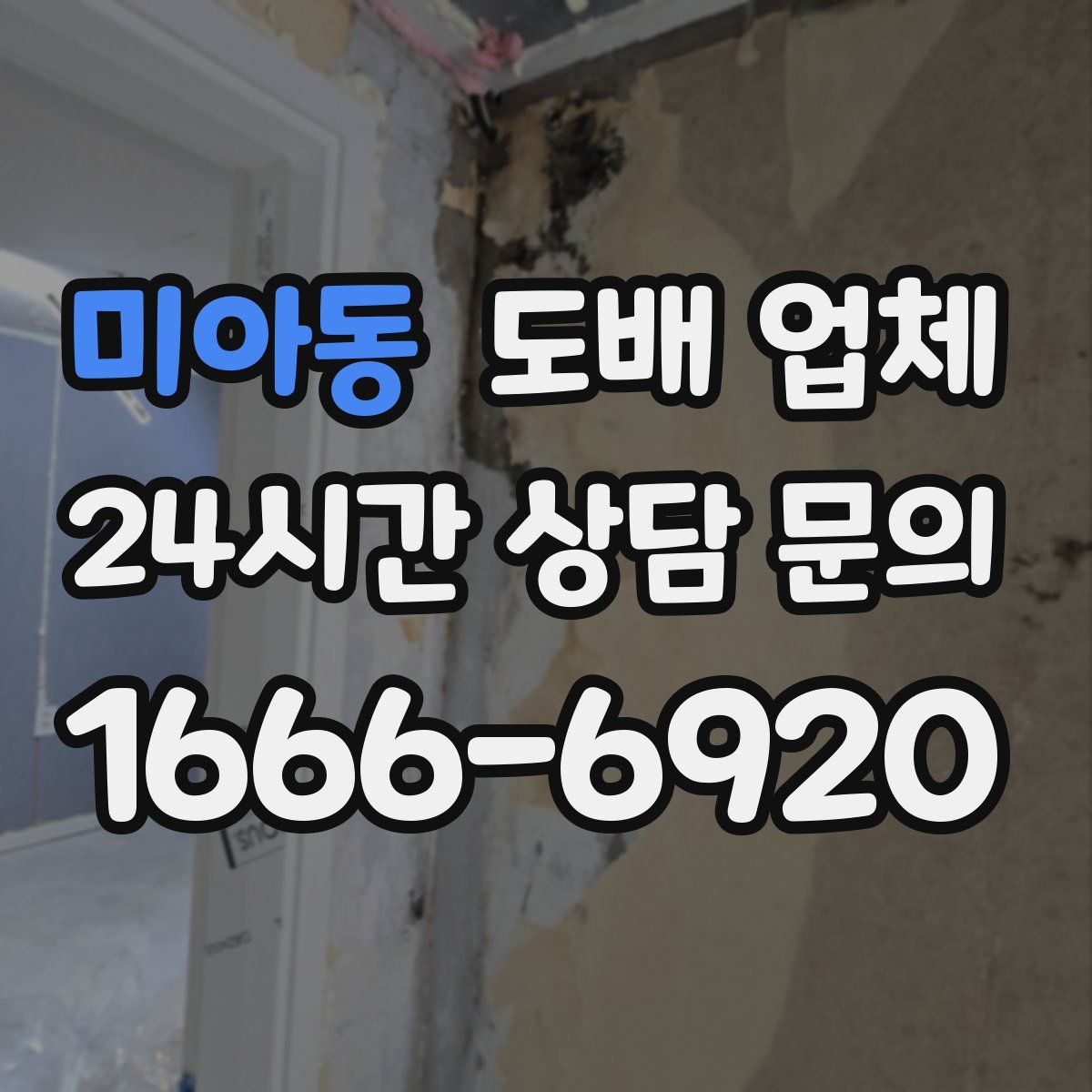 미아동 도배 업체
