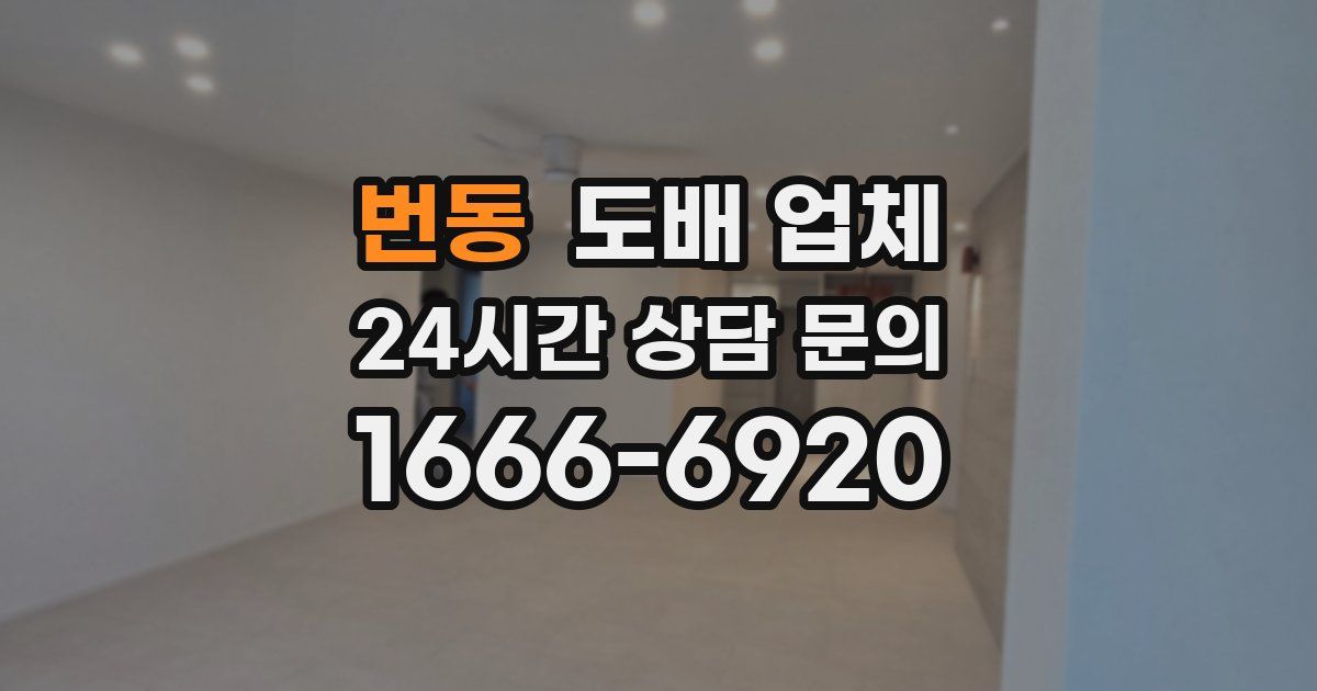 번동 도배 업체