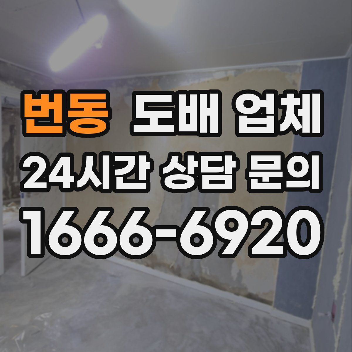 번동 도배 업체