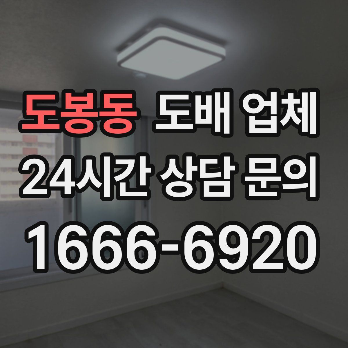 도봉동 도배 업체