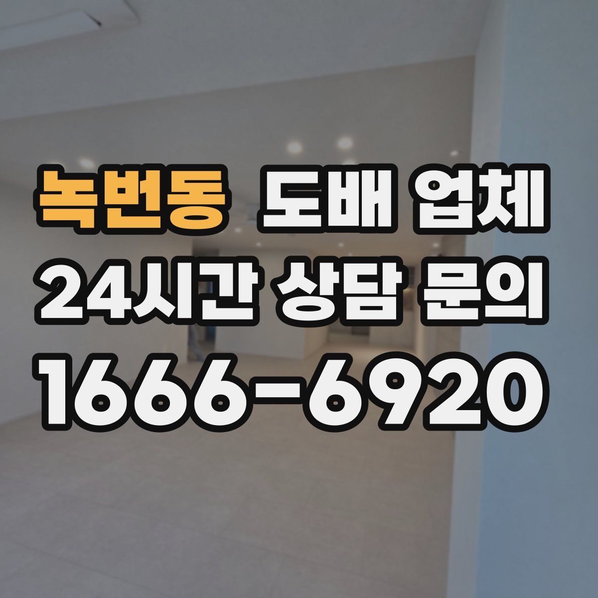 녹번동 도배 업체
