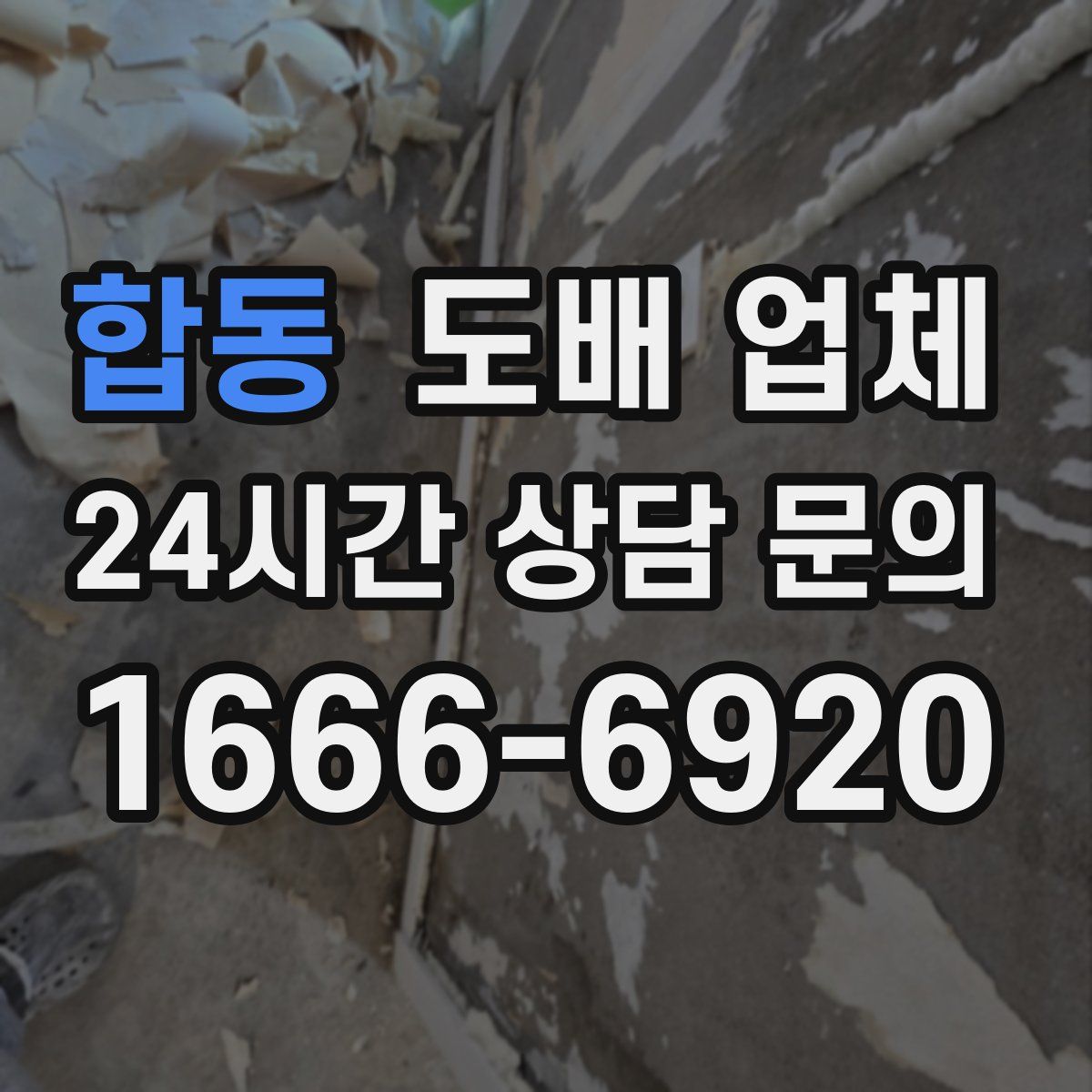 합동 도배 업체