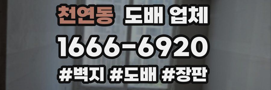 천연동 도배 업체