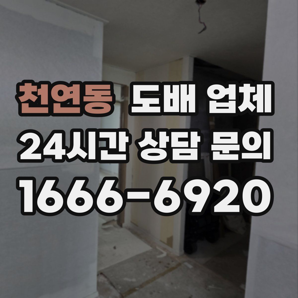 천연동 도배 업체