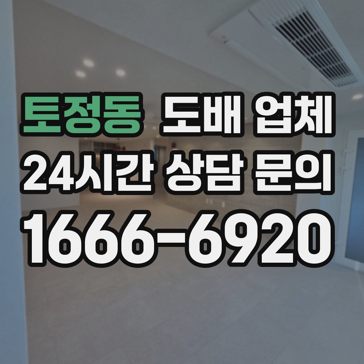 토정동 도배 업체