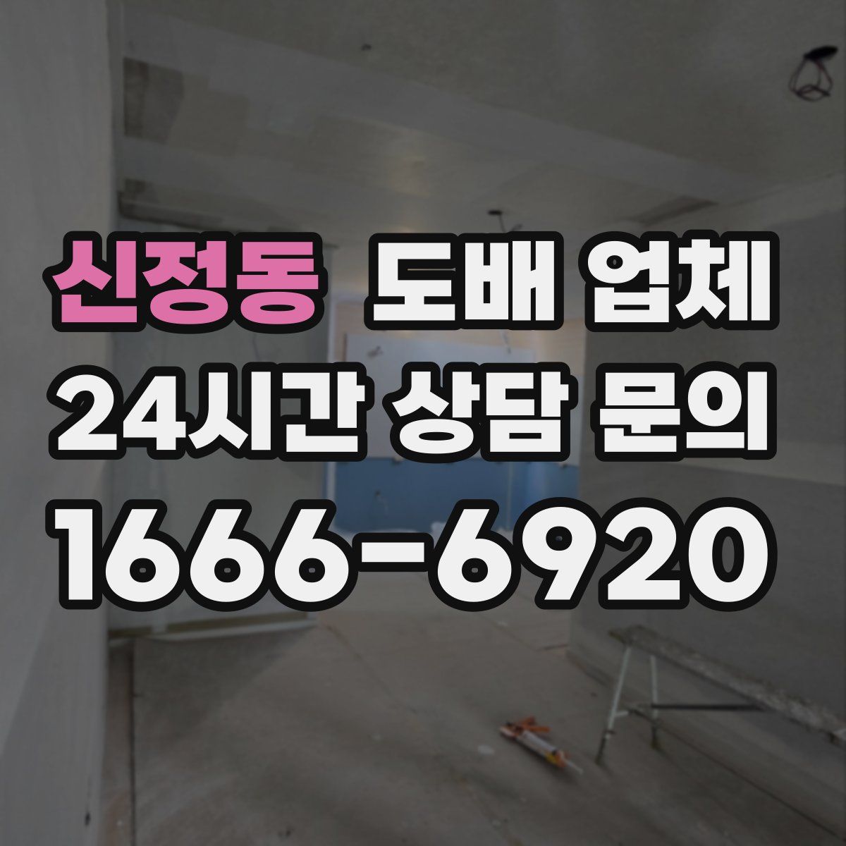 신정동 도배 업체