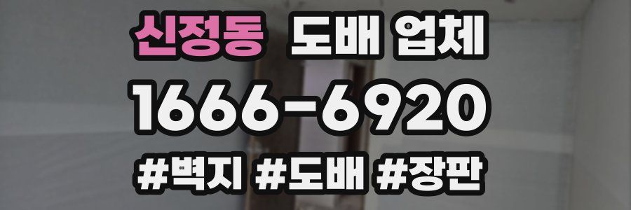신정동 도배 업체