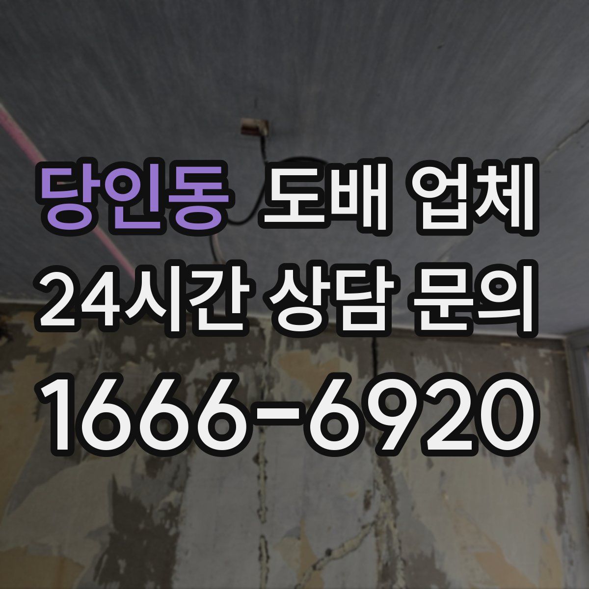당인동 도배 업체