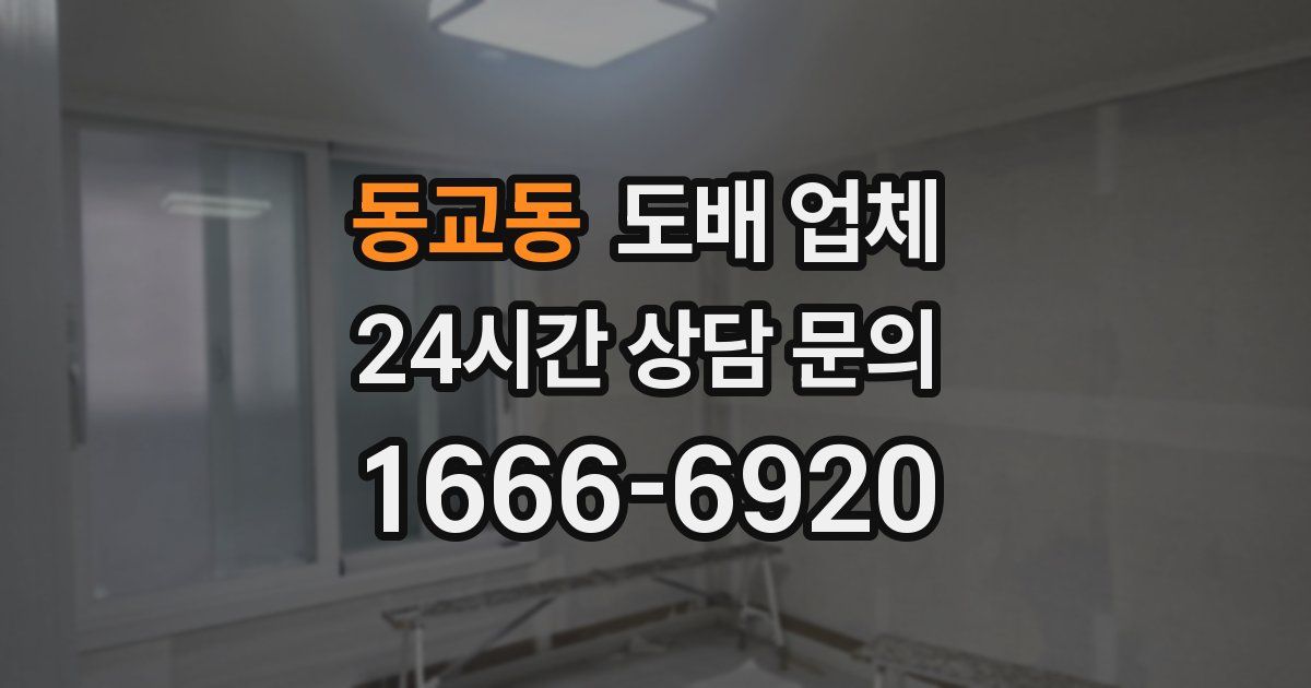 동교동 도배 업체