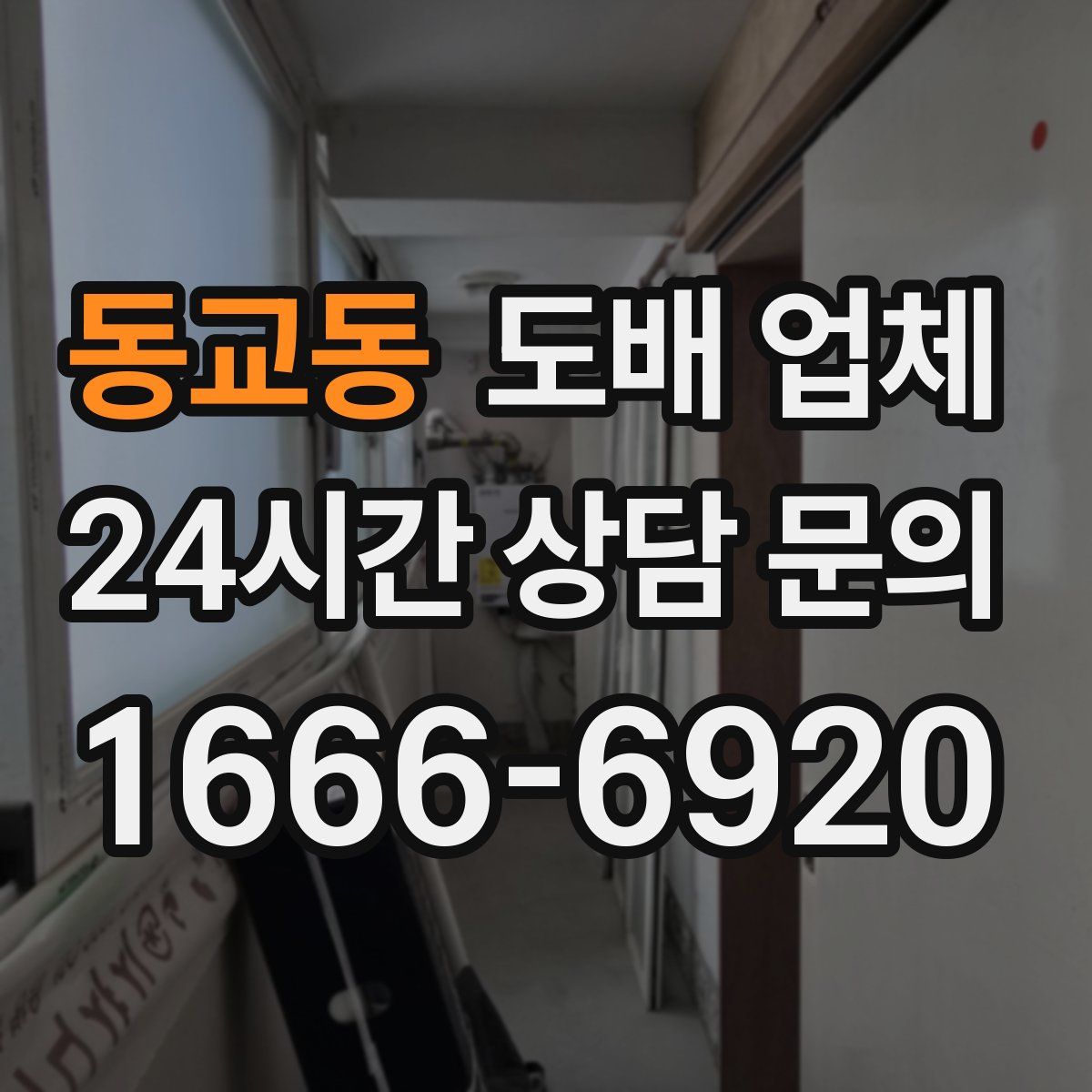 동교동 도배 업체