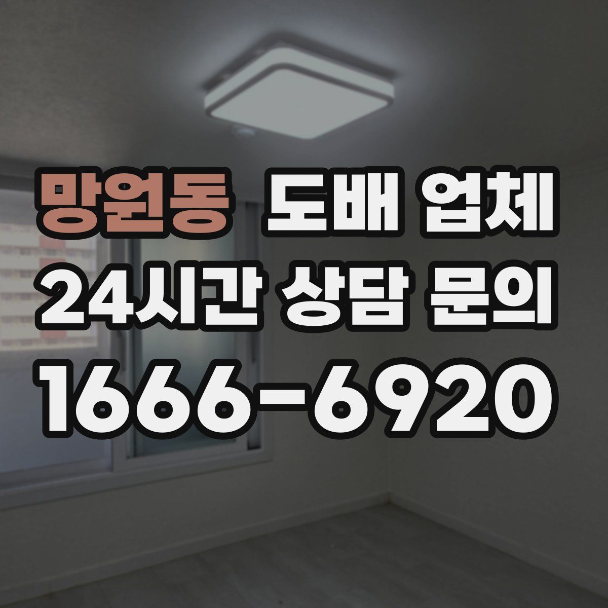 망원동 도배 업체