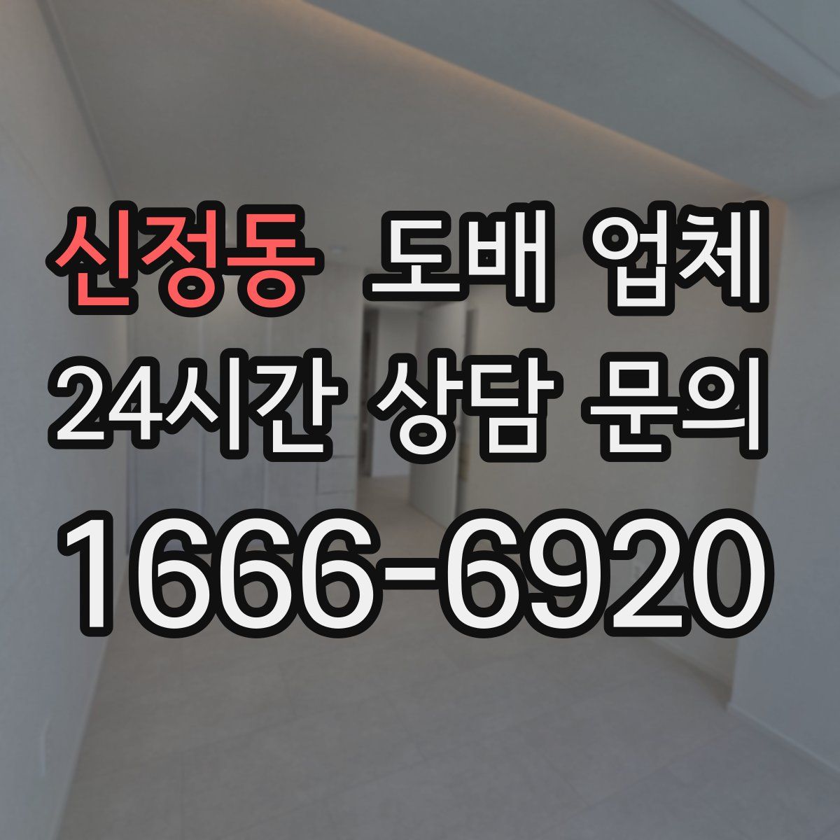 신정동 도배 업체