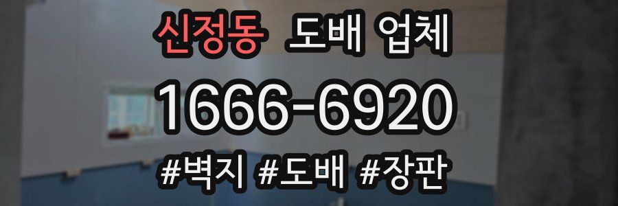 신정동 도배 업체