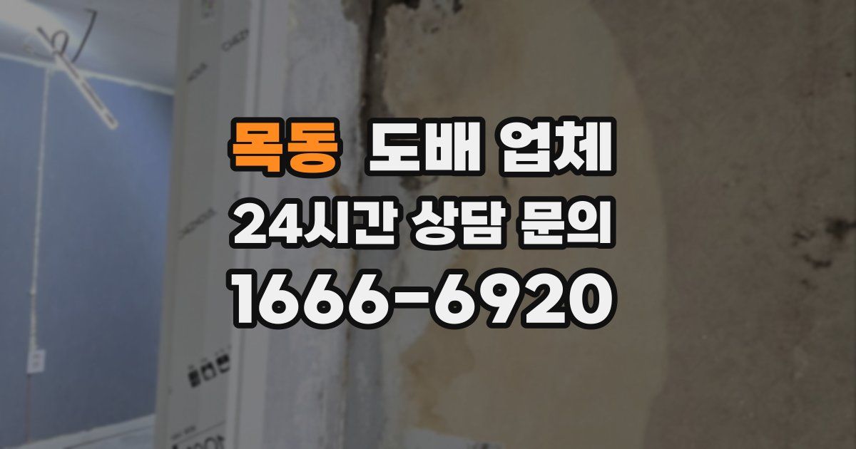 목동 도배 업체