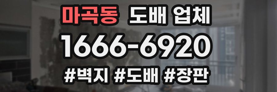 마곡동 도배 업체
