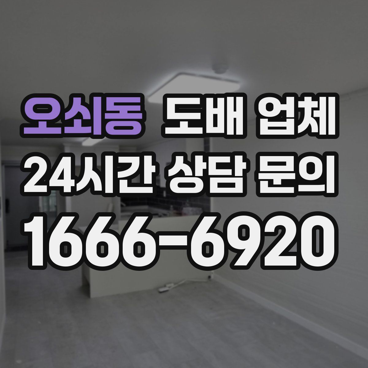 오쇠동 도배 업체