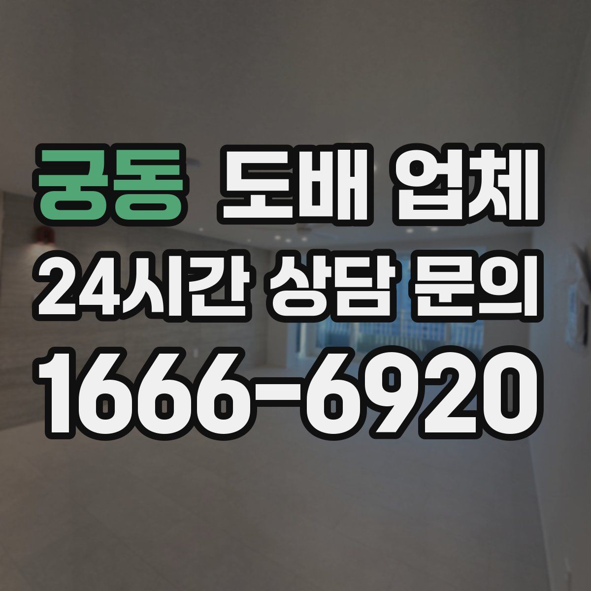 궁동 도배 업체