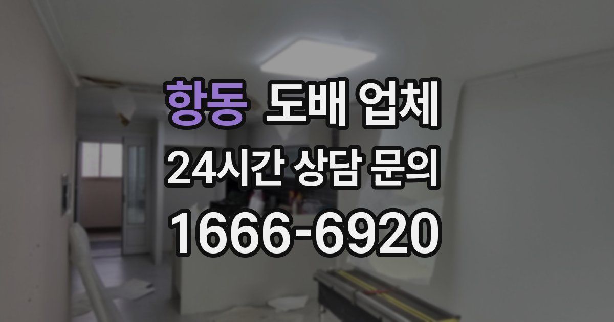항동 도배 업체
