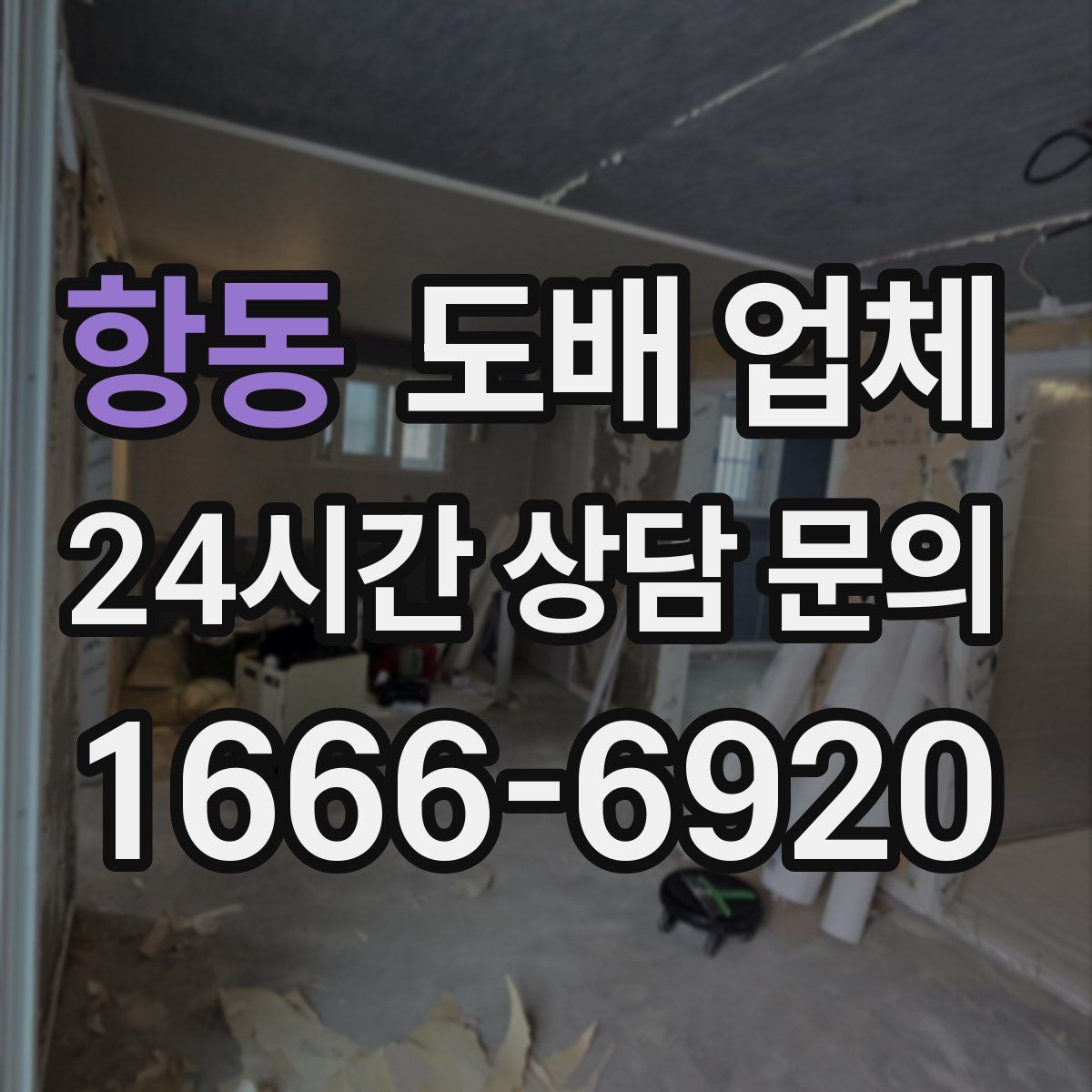 항동 도배 업체