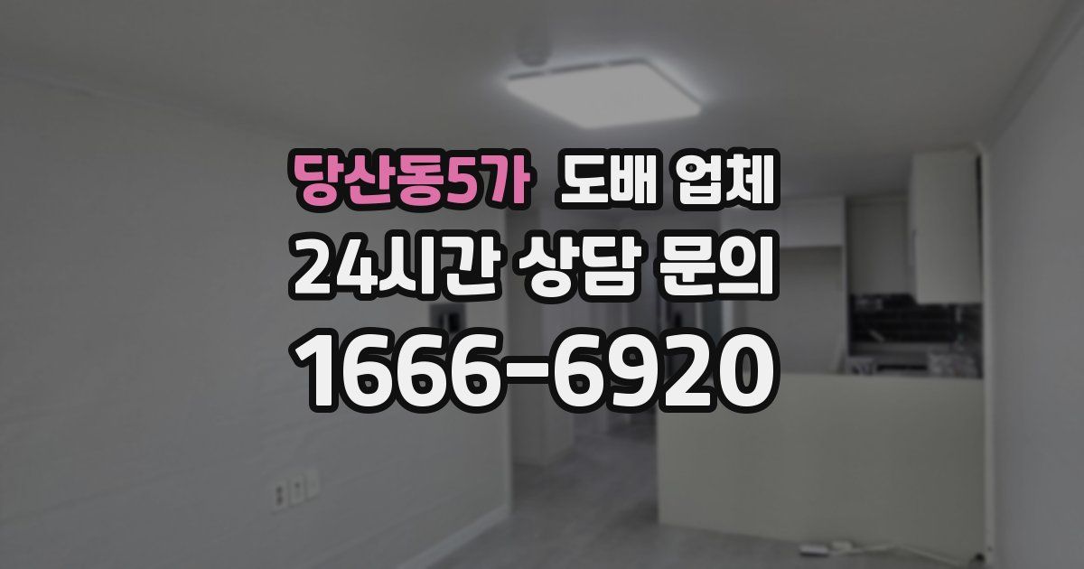 당산동5가 도배 업체