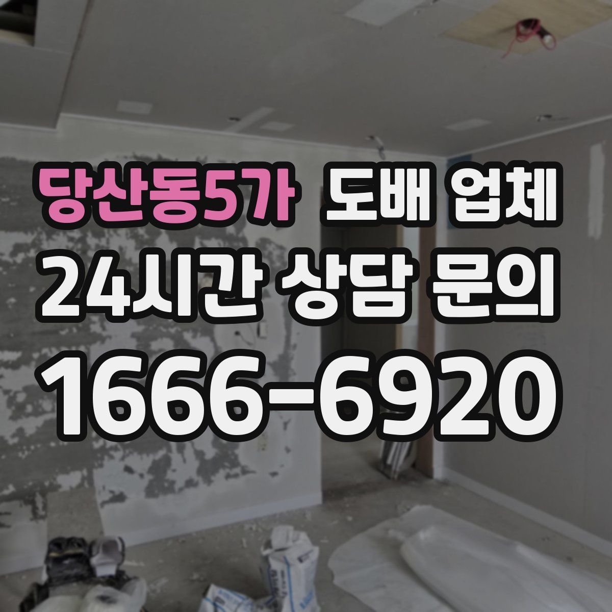 당산동5가 도배 업체