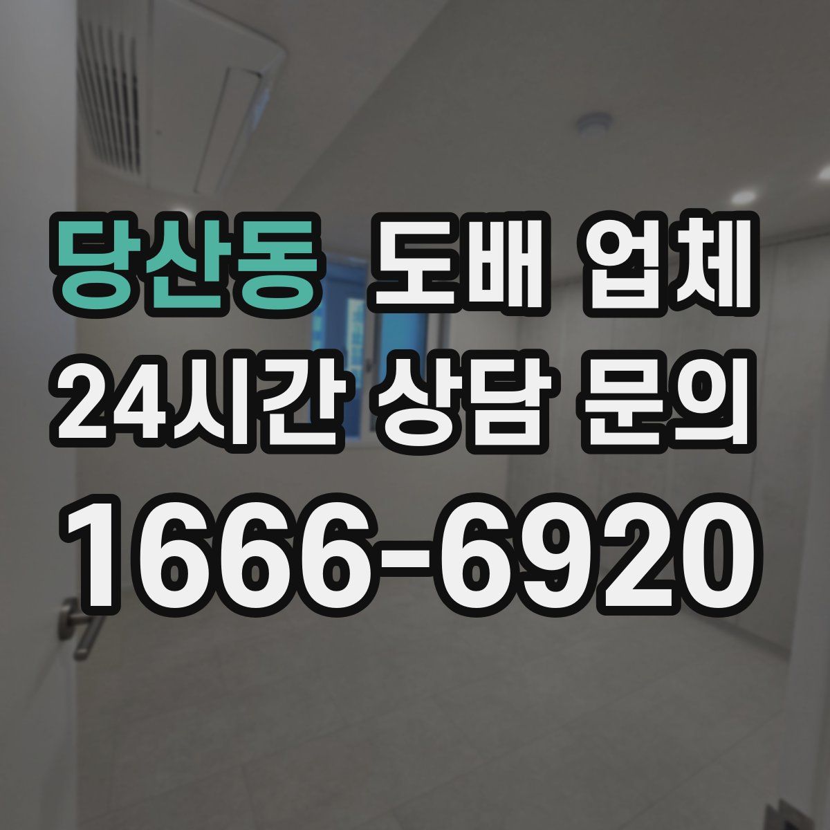 당산동 도배 업체