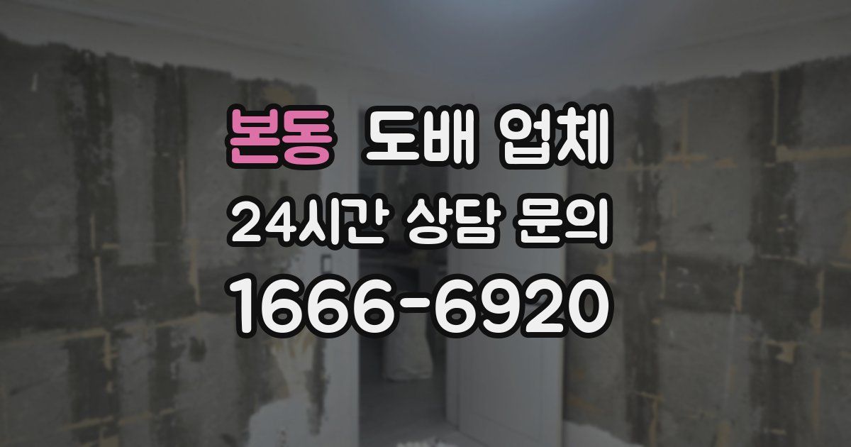 본동 도배 업체