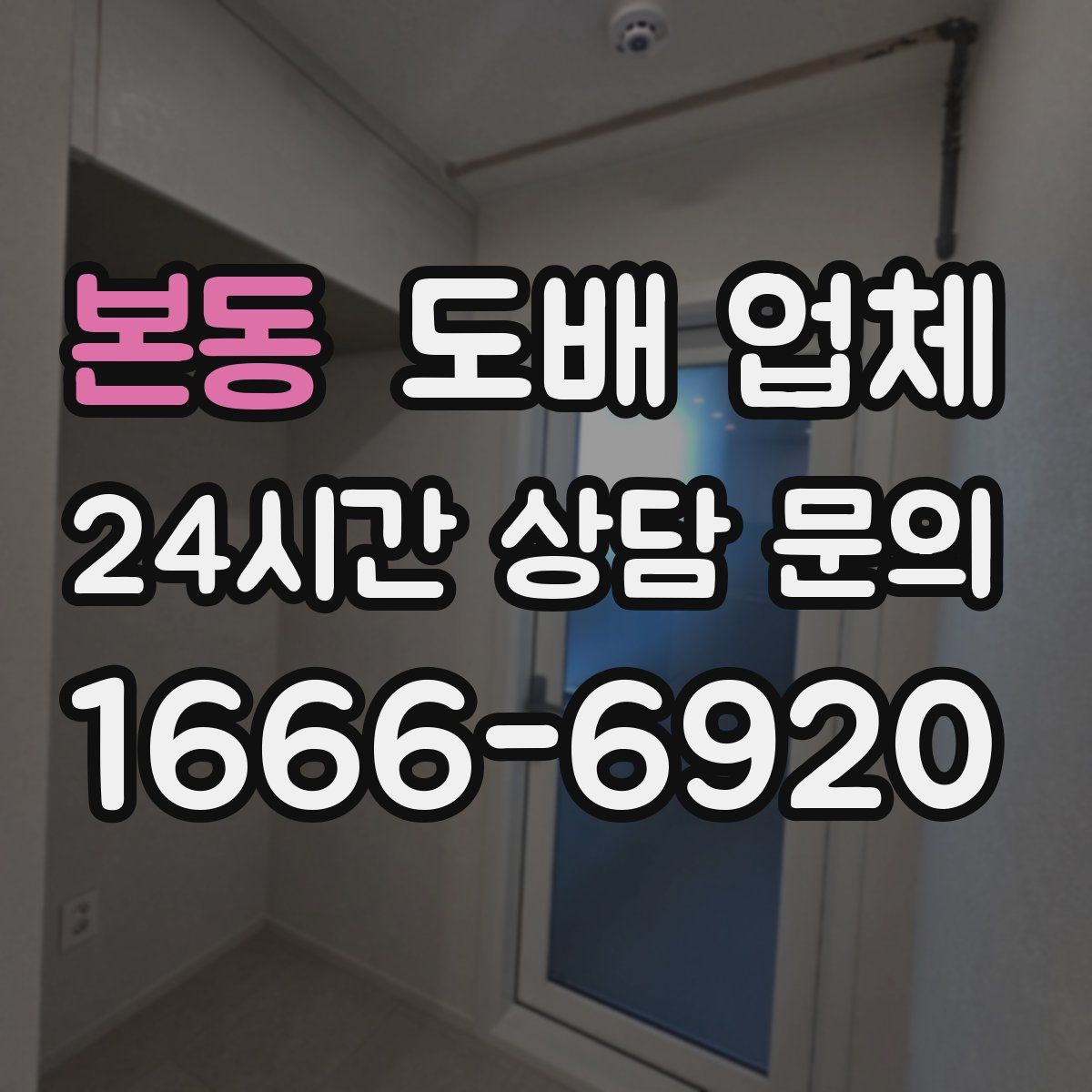 본동 도배 업체