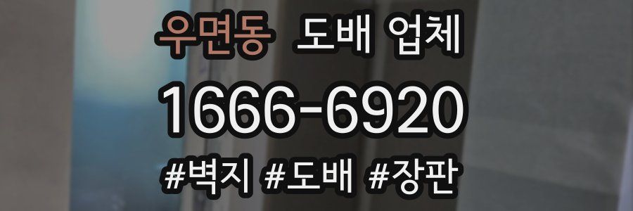 우면동 도배 업체