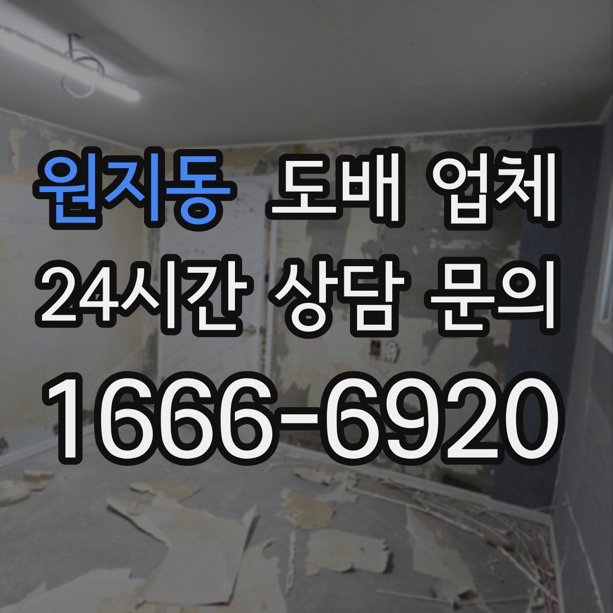 원지동 도배 업체
