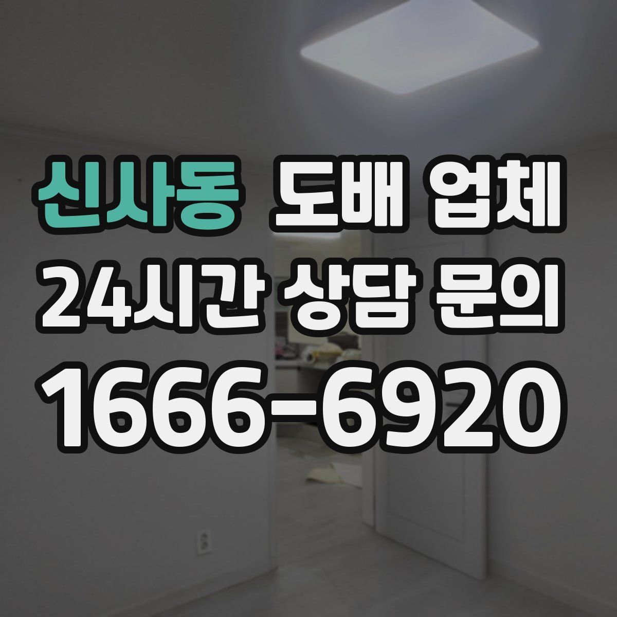 신사동 도배 업체