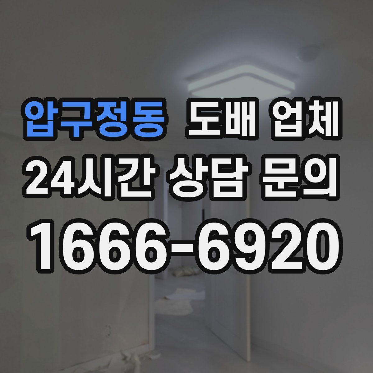 압구정동 도배 업체