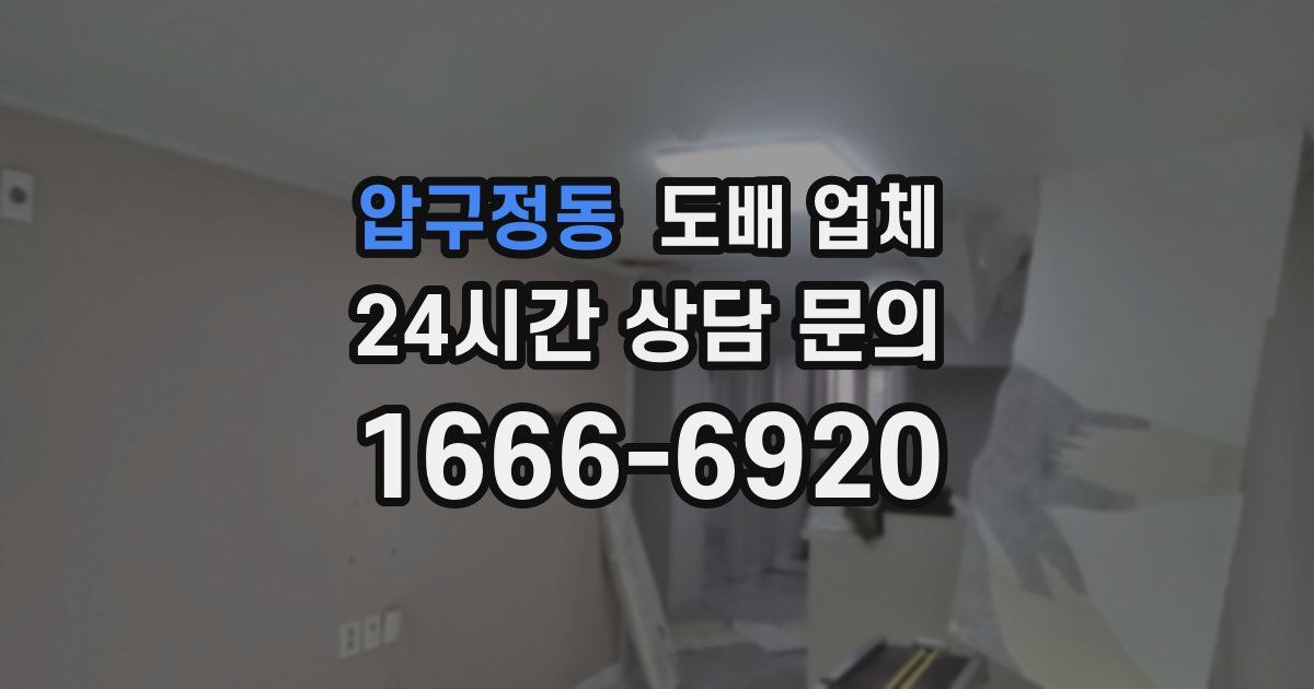 압구정동 도배 업체