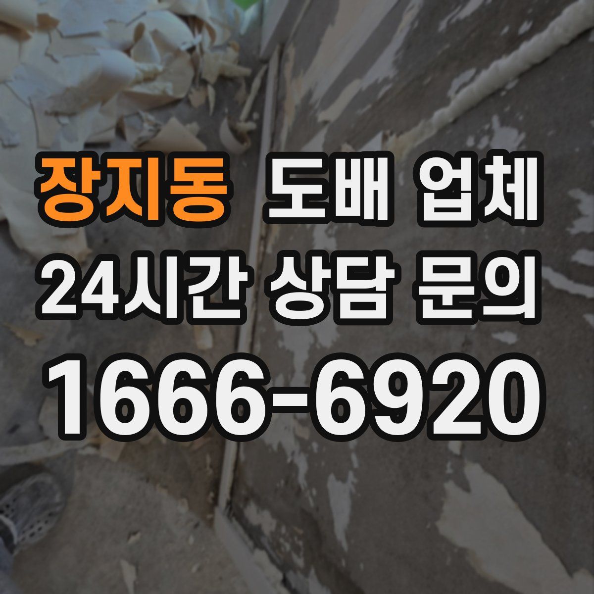 장지동 도배 업체