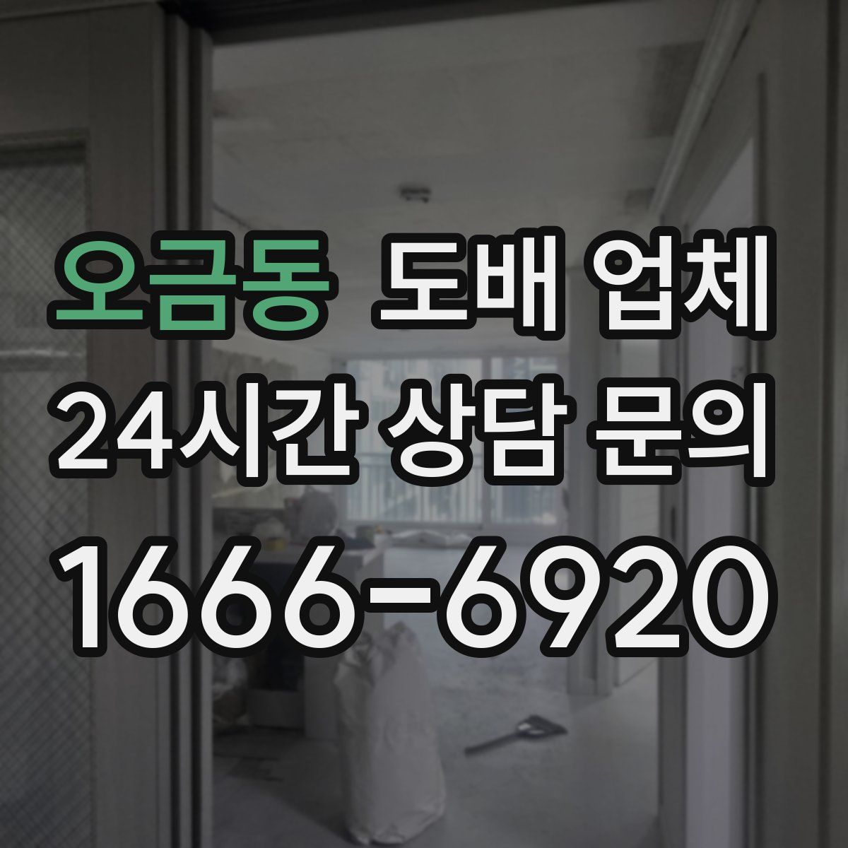 오금동 도배 업체