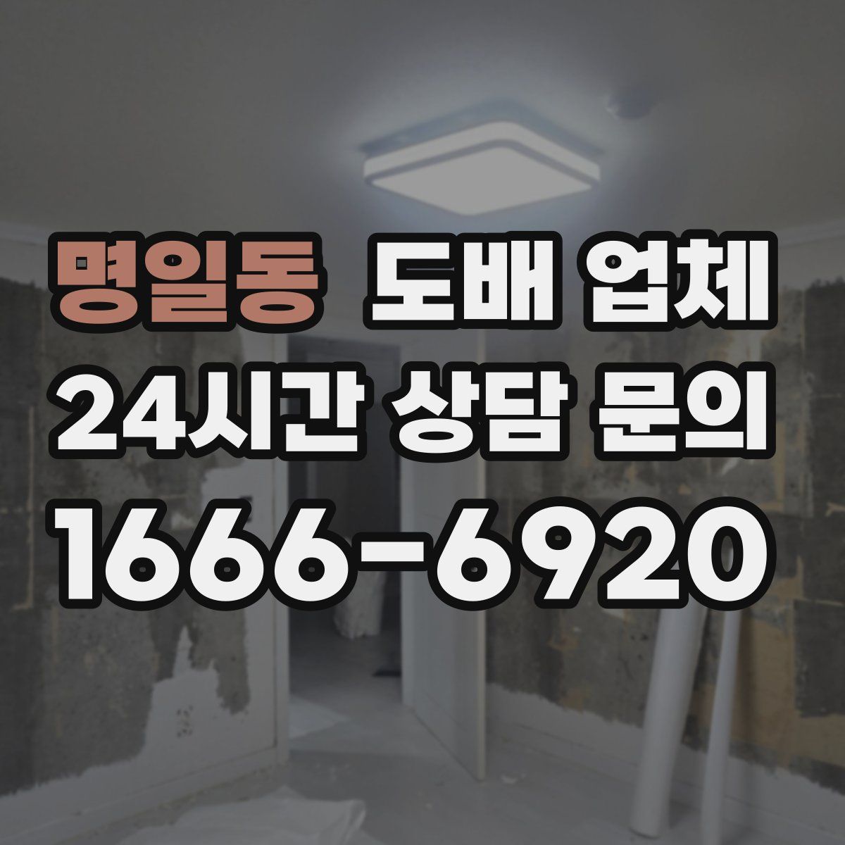 명일동 도배 업체
