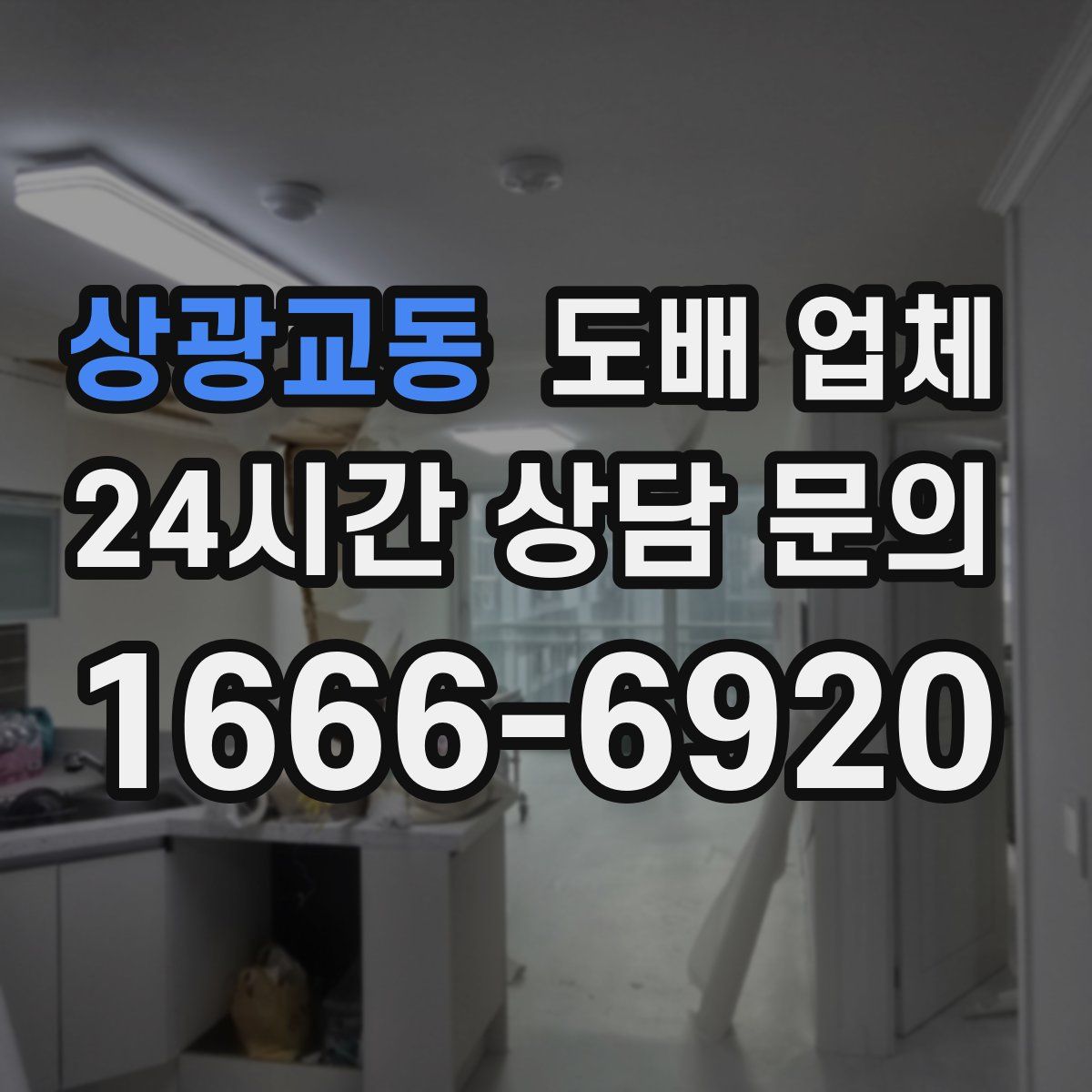 상광교동 도배 업체