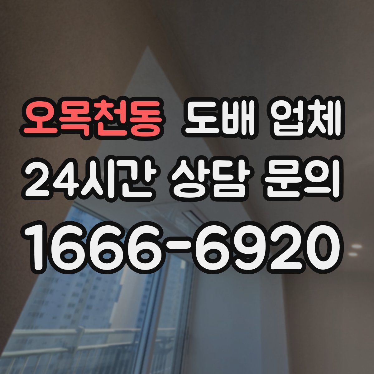 오목천동 도배 업체