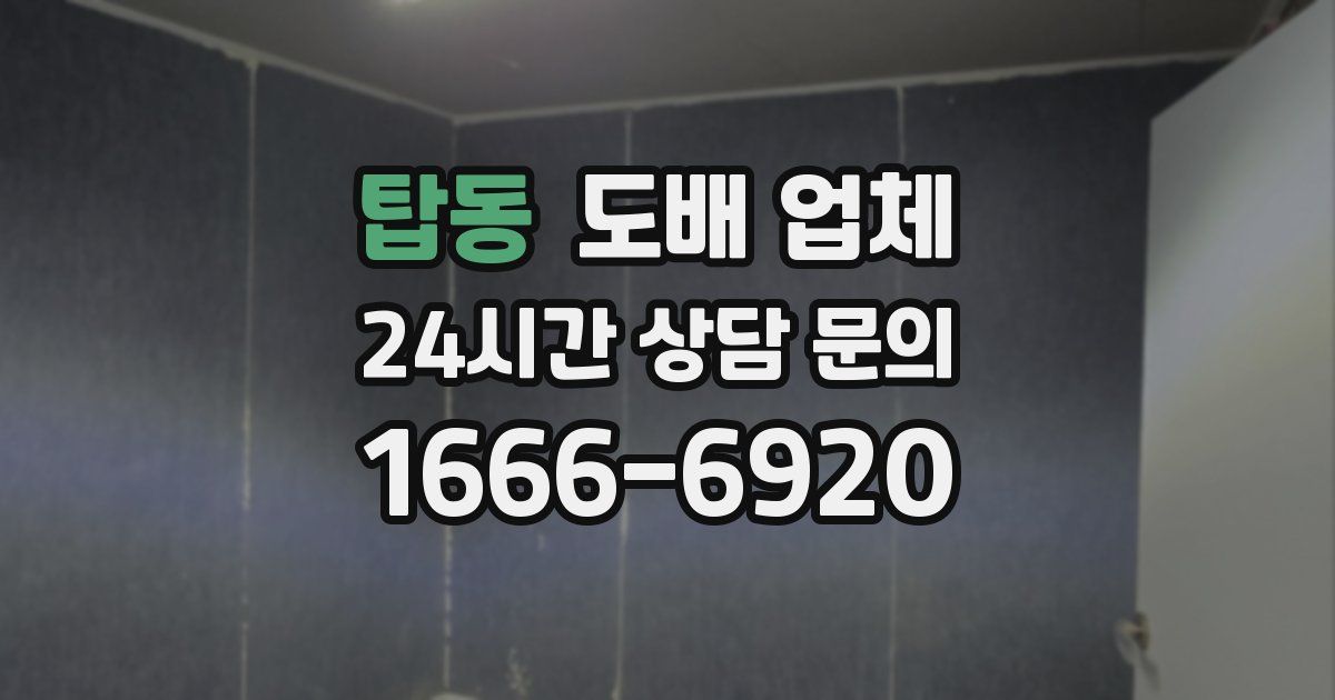탑동 도배 업체
