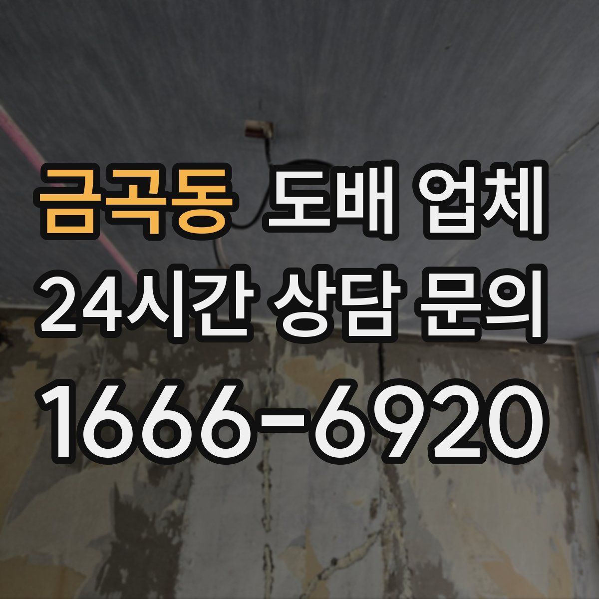 금곡동 도배 업체